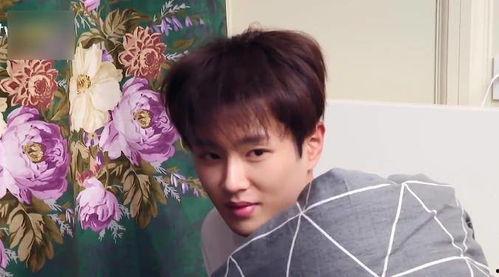 范丞丞白鹿吃瓜爆料视频,揭秘娱乐圈幕后真相 第1张 范丞丞白鹿吃瓜爆料视频,揭秘娱乐圈幕后真相 第1张